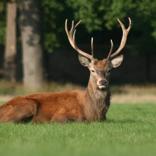 20 things to do in Bristol as a student
