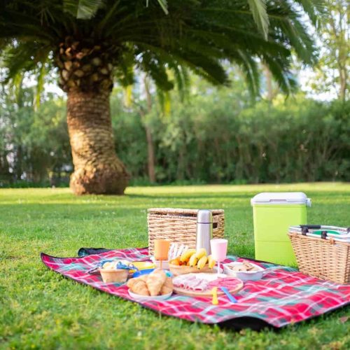 6 best picnic spots in Sheffield