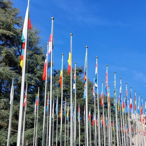 A day the life of an International Relations student