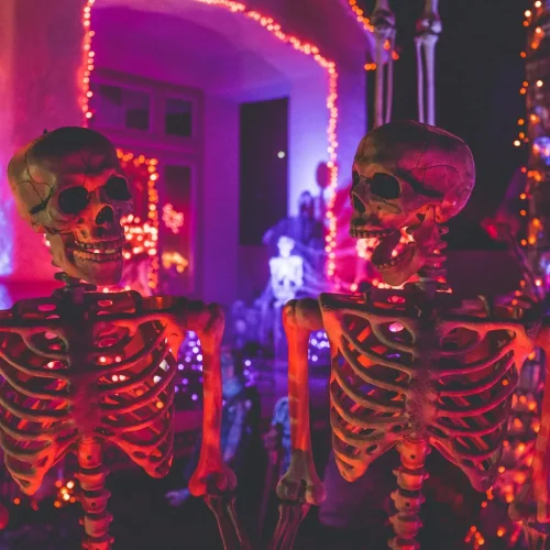 Two skeletons smiling at each other