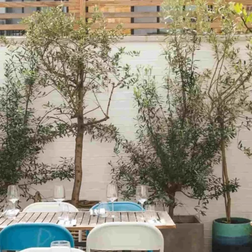 Independent places to visit around Notting Hill