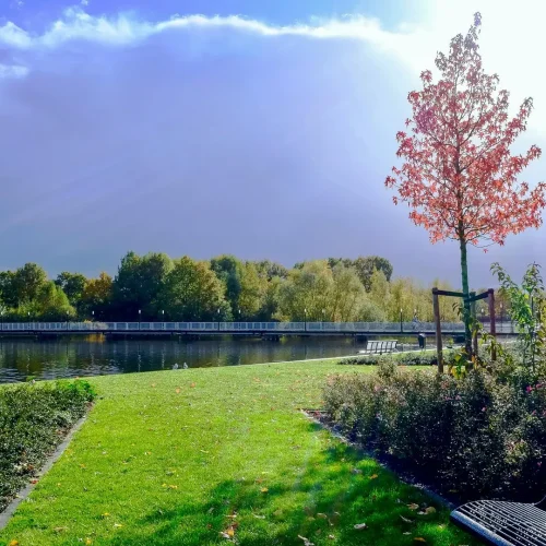 Best green spaces and parks for students in Birmingham