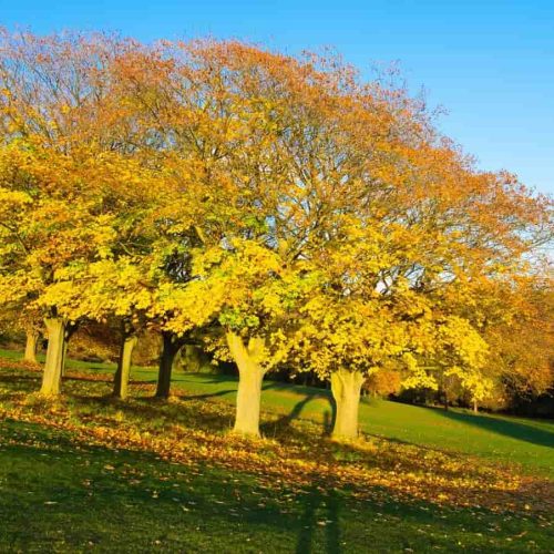 10 of the best places to visit near Leeds