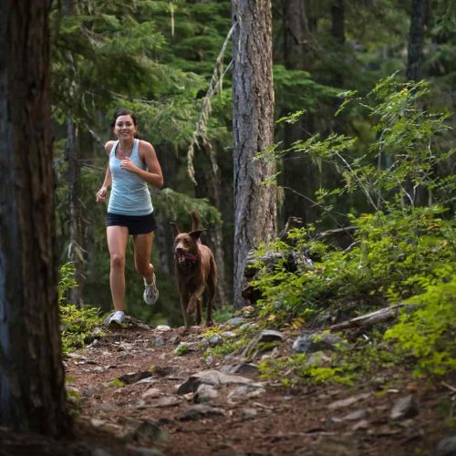 Running clubs in Edinburgh