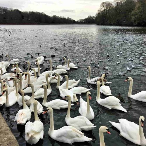 6 of the best parks in Leeds