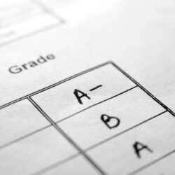 What grades do you need to get into university?