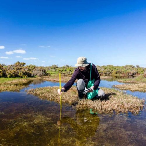 A student's guide to jobs in sustainability