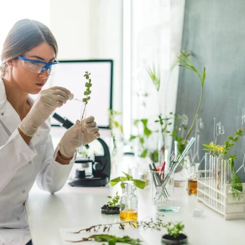 Ranked: The best universities for biology in the UK 2023