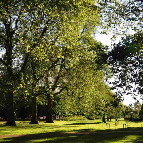Fun things to do in leeds for adults