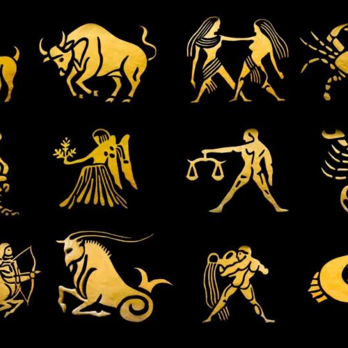 What to study based on your star sign?